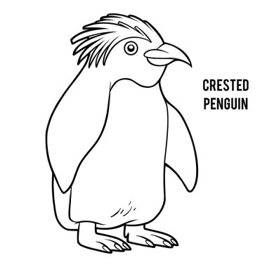 Çocuklar için boyama kitabı, İbikli penguen