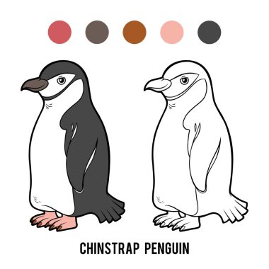 Çocuklar için boyama kitabı, Chinstrap pengueni