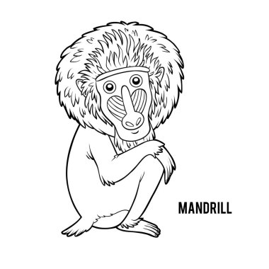 Çocuklar için boyama kitabı, Mandrill