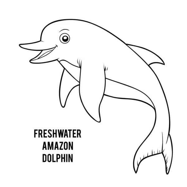 Coloring Book Children Freshwater Amazon Dolphin — Stock Vector