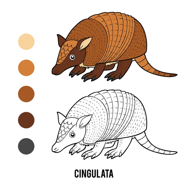 Kleurplaat Voor Kinderen Cingulata — Stockvector