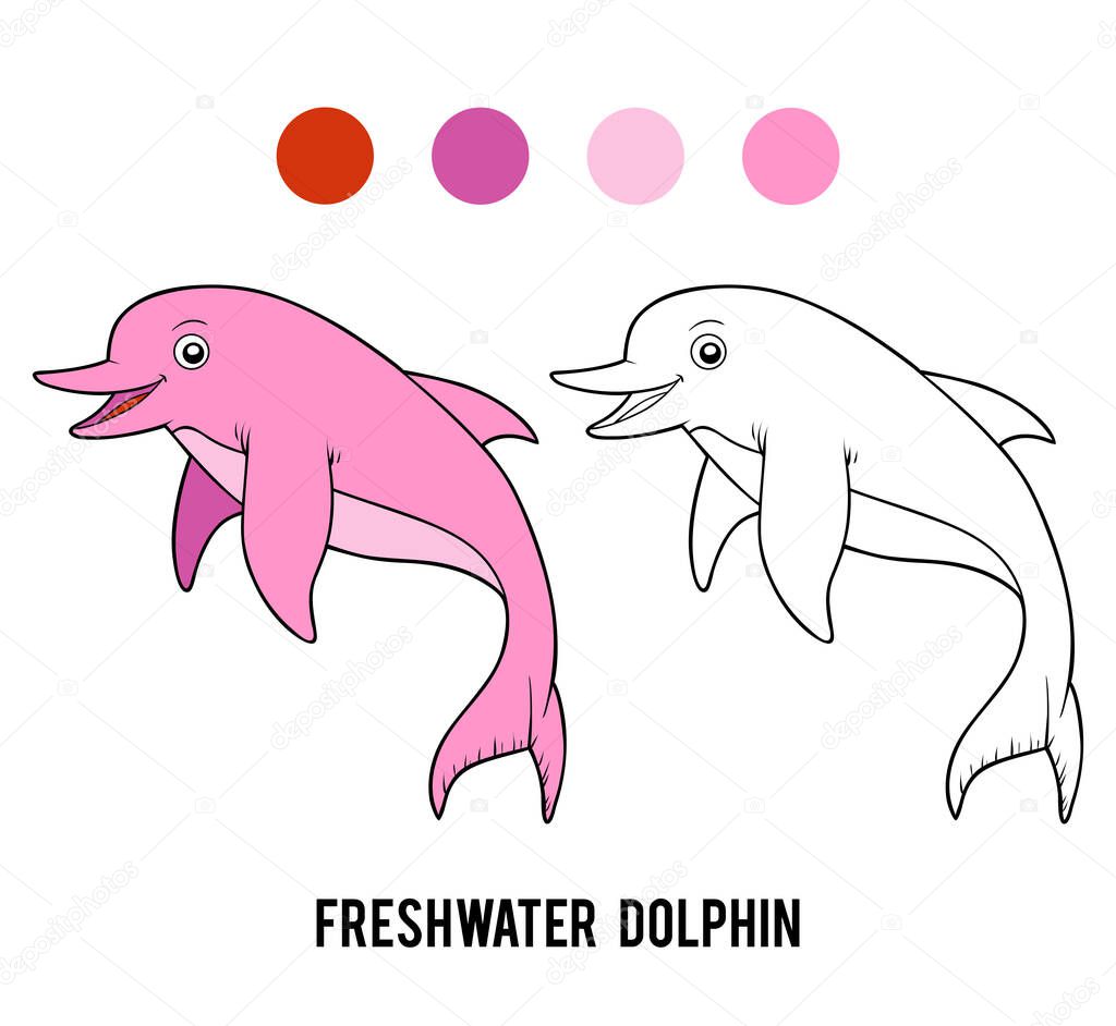 Coloring book for children, Freshwater Amazon dolphin