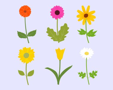 Set of colorful flower in spring season. Vector illustration fla