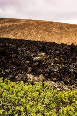 Lanzarote volkanı.