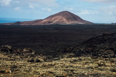 Timanfaya 'daki lav tarlası