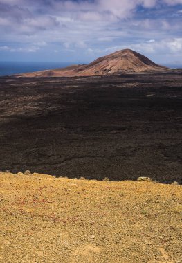 Timanfaya 'daki lav tarlası
