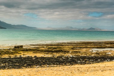 Kanarya Adaları İspanya