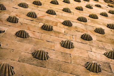 Salamanca 'daki Casa de las conchas