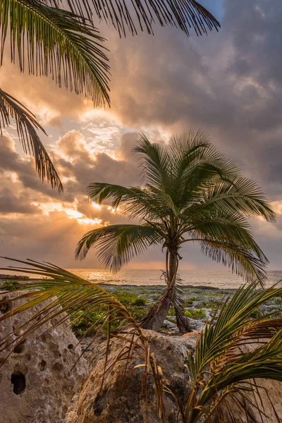 Puerto Aventuras Meksika 'da bir tatil köyü.