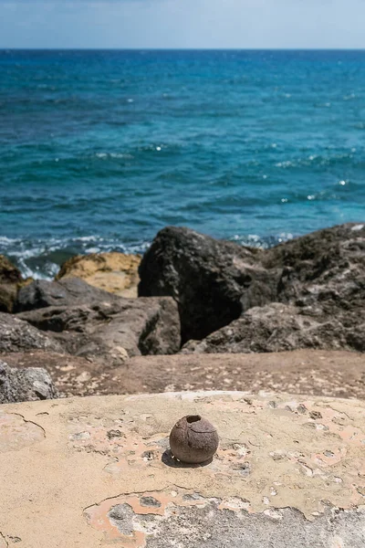 Kokosnuss Karibischen Meer — Stockfoto