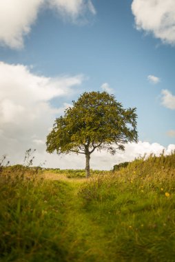 Galway İrlanda 'daki Menlo kalesi