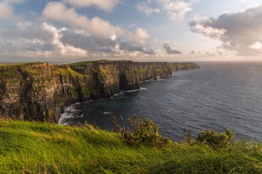 Güzel İrlanda 'daki Moher Kayalıkları