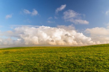 Güzel İrlanda 'daki Moher Kayalıkları