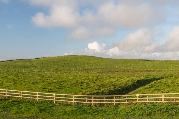Güzel İrlanda 'daki Moher Kayalıkları