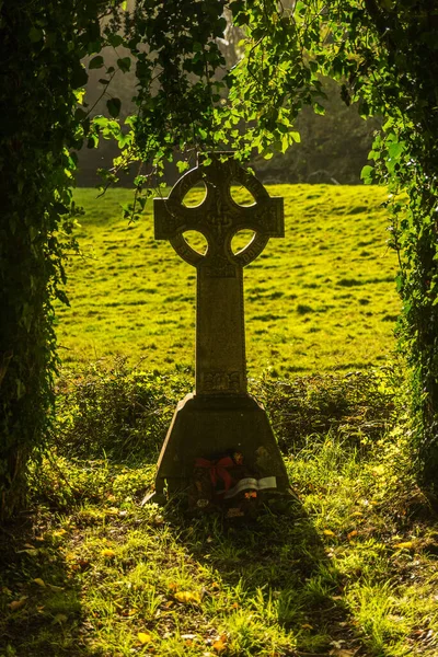 terk edilmiş, manastır, antik, mimari, bina, kale, kilise, hedef, çerçeve, tarihi, tarih, İrlanda, İrlanda tarihi, manzara, ortaçağ, mukros, doğa, eski, kerr halkası, harabe, taş, yaz, turizm, kule, seyahat, urbex