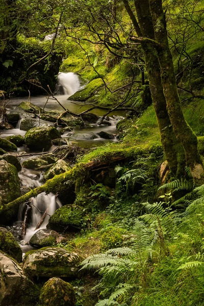Moody Cascade Irish Forest — Stock Photo, Image