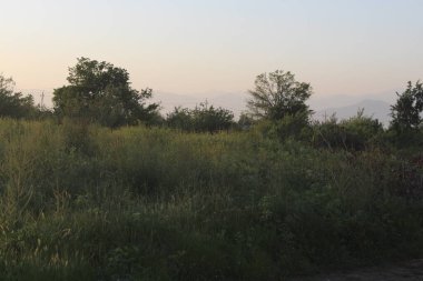 Kaşmir Vadisi manzaraları 034