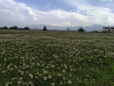 Kaşmir Vadisi manzaraları 020