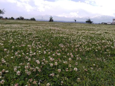 Keşmir Vadisi manzarası 011