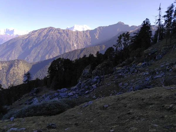 Uma Bela Vista Montanha Com Vegetação Frente Este Lugar Uttrakhand — Fotografia de Stock