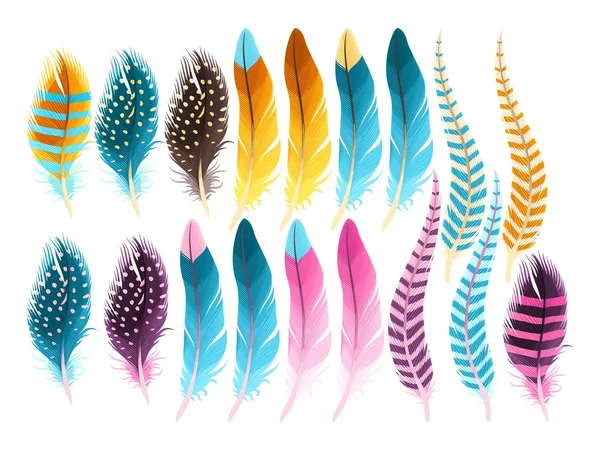 Set of feathers — Stock Vector