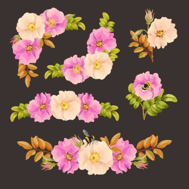 Köpek gül desenli dekoratif öğeleri kümesi