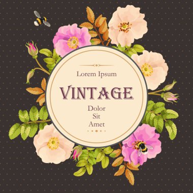 Tatlı briar kartıyla