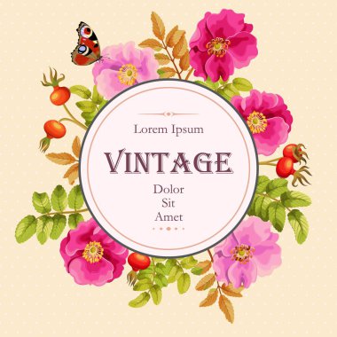 Tatlı briar kartıyla