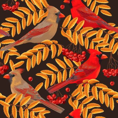 Sorunsuz Kardinal ve rowan