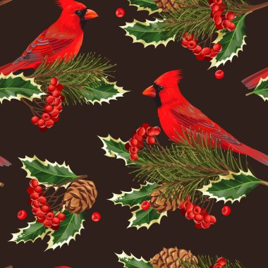 Holly ve sorunsuz Kardinal