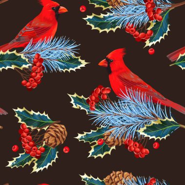 Holly ve sorunsuz Kardinal