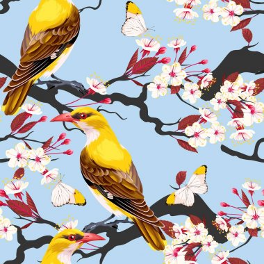 Sorunsuz çiçek açan kiraz