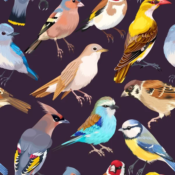 Απρόσκοπτη μοτίβα με πουλιά — Διανυσματικό Αρχείο