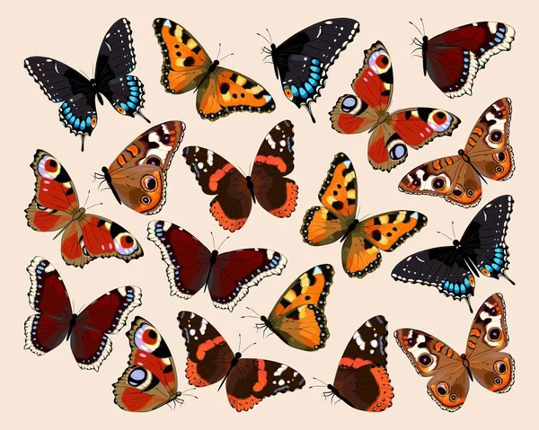 Collection of butterflies — Stock Vector