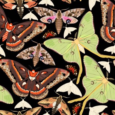 Uçan güveler sorunsuz