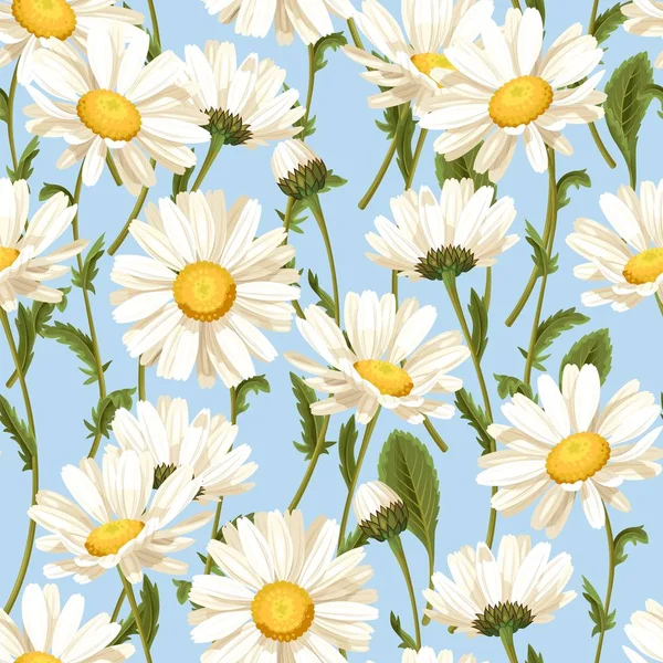 Camomile seamless pattern — Stock Vector