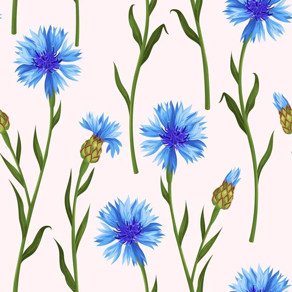 Seamless pattern with colorful cornflowers — Stock Vector