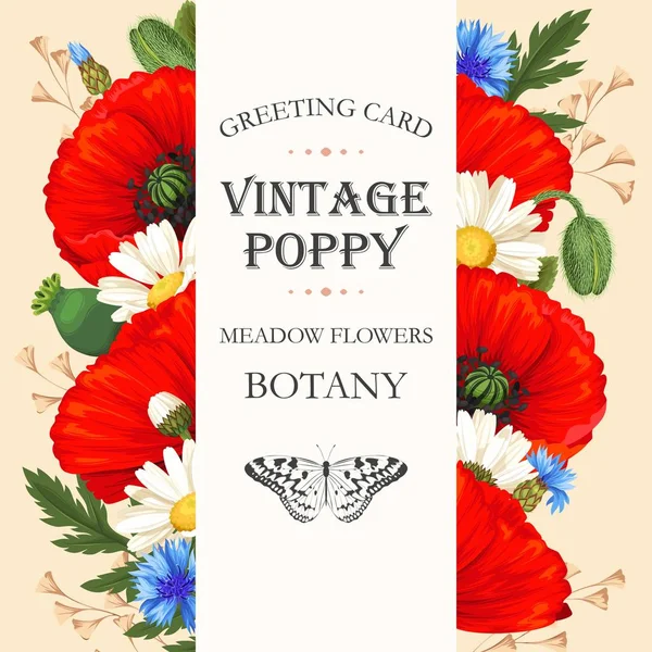 Cartão vintage com flores de prado — Vetor de Stock