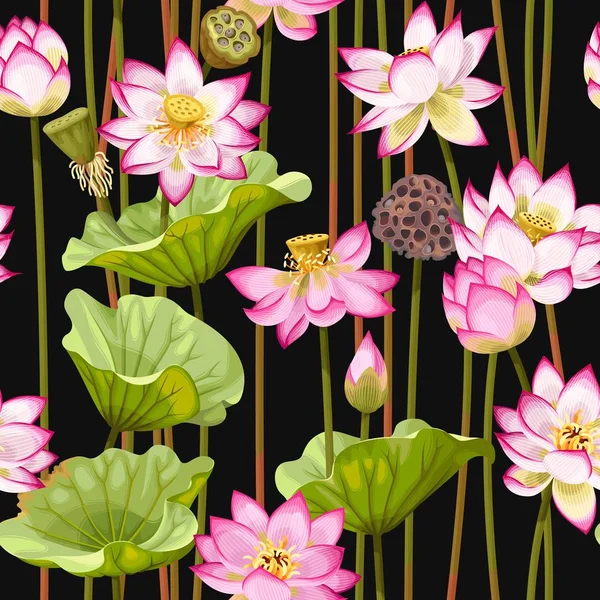 Seamless pattern with lotus flowers — Stock Vector