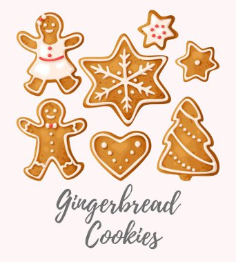 Zencefilli kurabiye seti