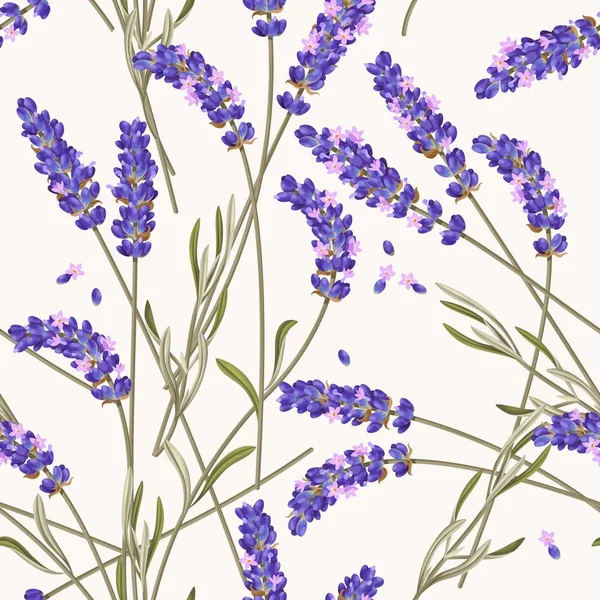 Fiori di lavanda modello senza soluzione di continuità — Vettoriale Stock