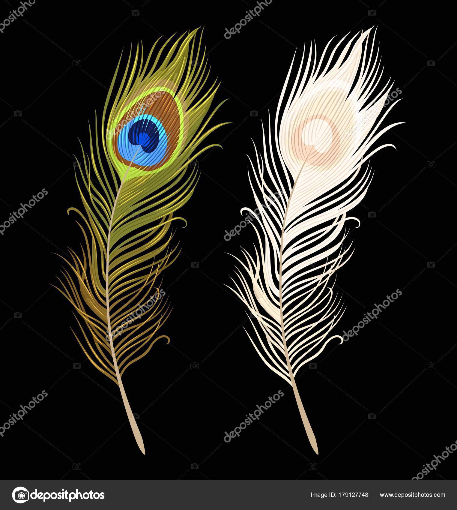 Floral Arrangements White peacock feather Home & Living Home Décor etna