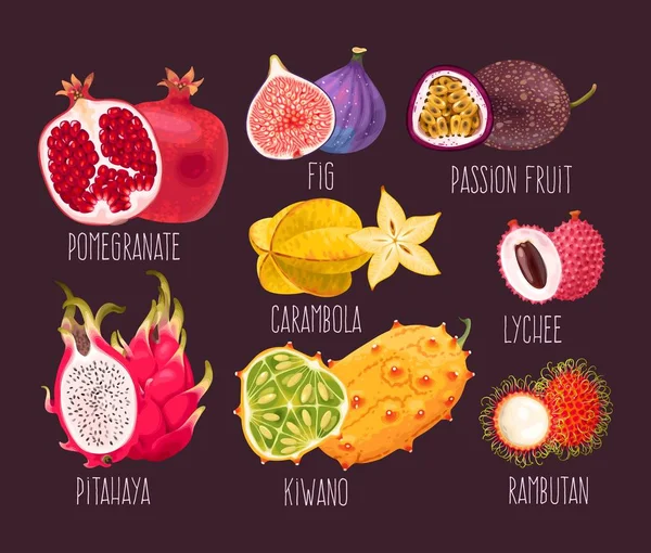Set of exotic fruit — Stock Vector