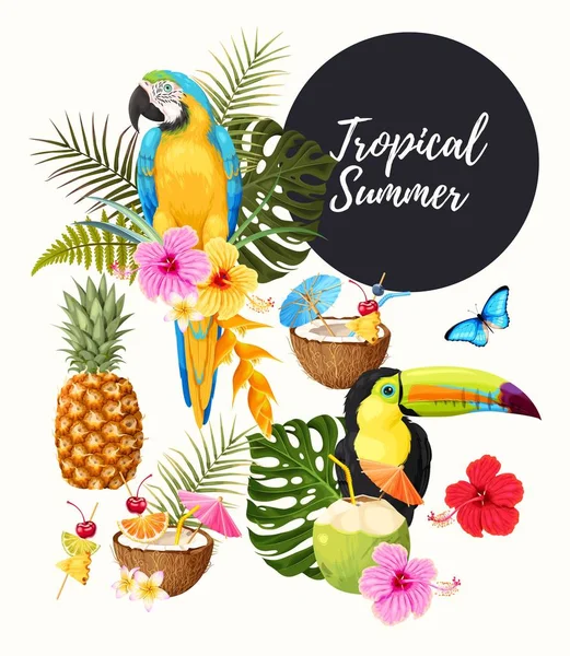 Conjunto de verão tropical — Vetor de Stock