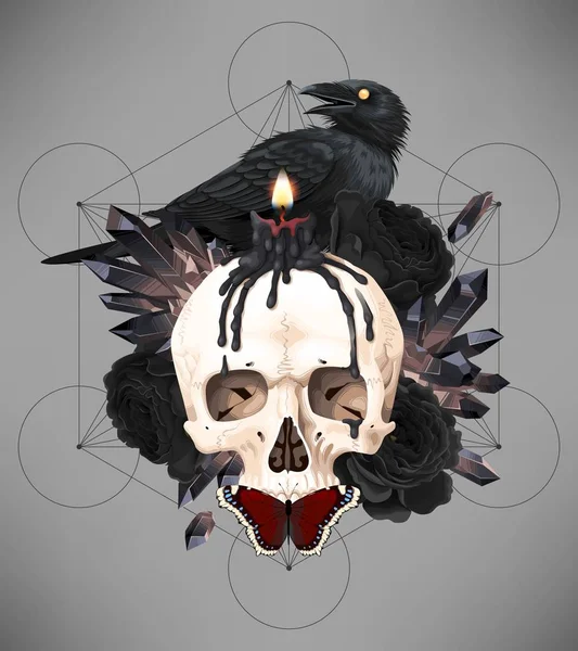 Vector illustration of black raven on the skull — ストックベクタ