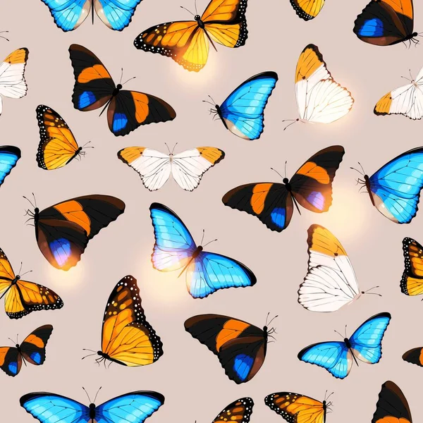 Modèle vectoriel avec papillon tropique détaillé élevé — Image vectorielle