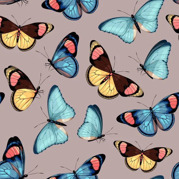 具有高度细节的热带蝴蝶的矢量图案 — 图库矢量图片