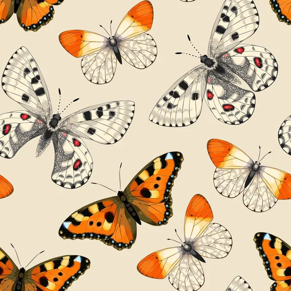 Patrón vectorial con mariposa viva y detallada — Archivo Imágenes Vectoriales