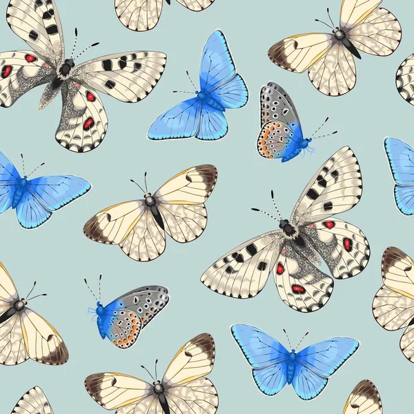 Vector patroon met zeer gedetailleerde levendige vlinder — Stockvector