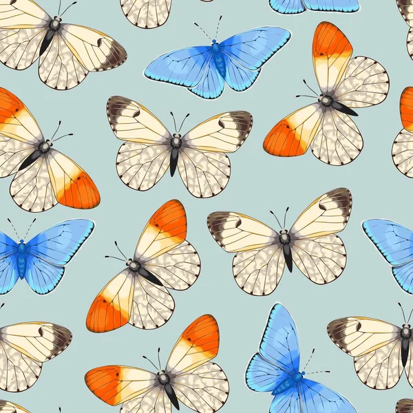 Modello vettoriale con alta farfalla vivida dettagliata — Vettoriale Stock
